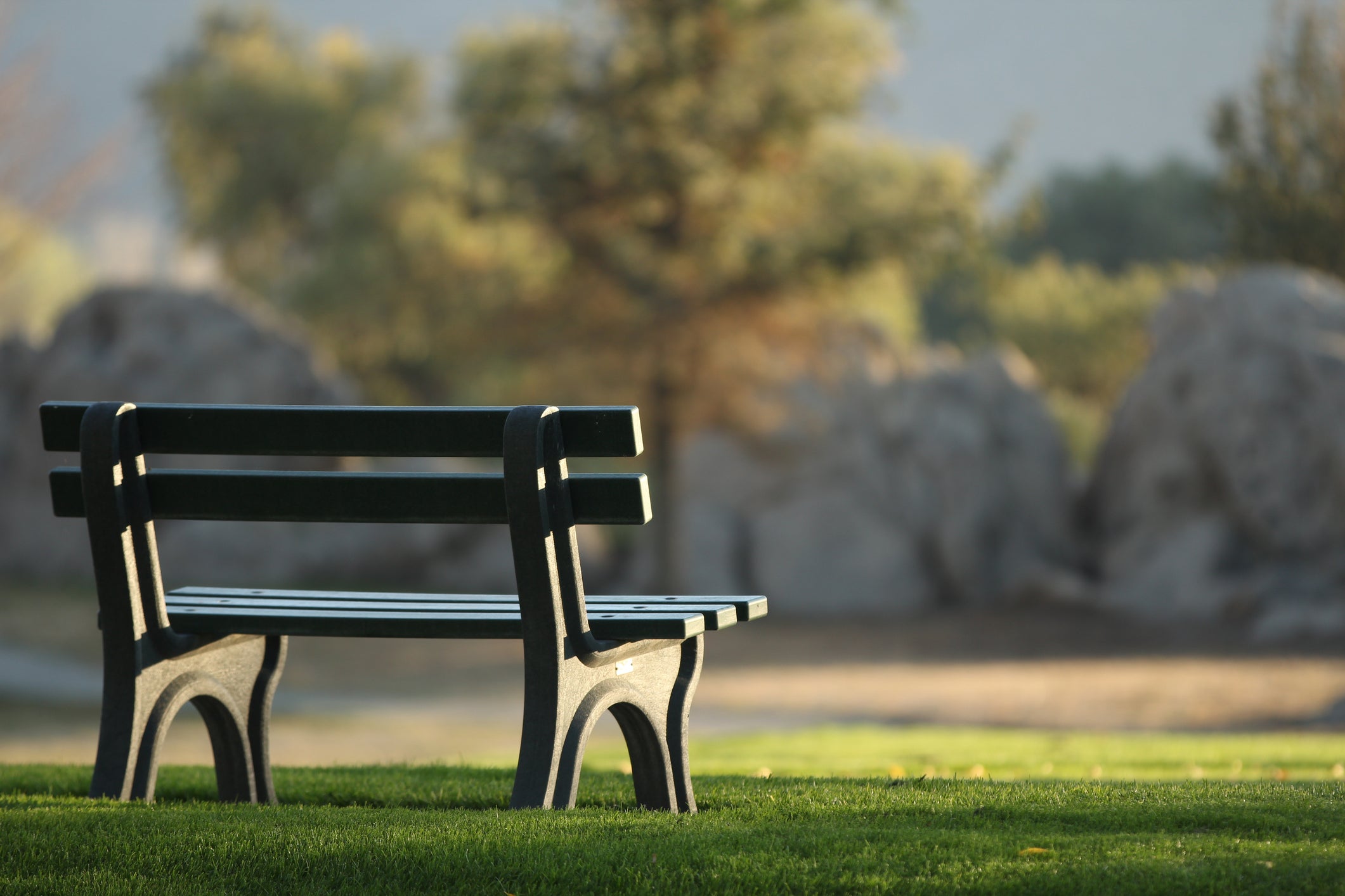 Premium Park Benches & Ammenities