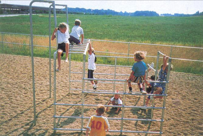 Hercules II Climbing Structure