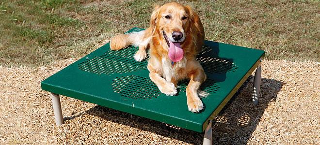 Bark Park Paws Table Grooming Table