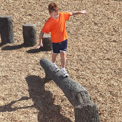 Nature Themed Fallen Tree Balance Beam - 8 Foot