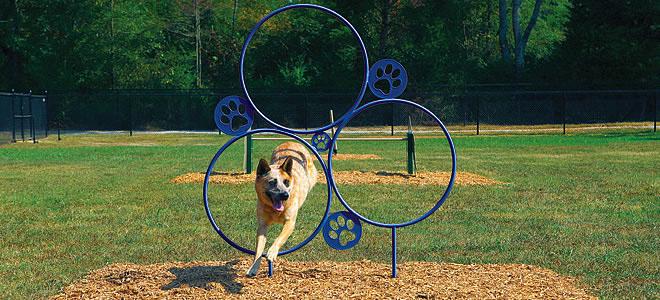 Bark Park Hoop Jump Dog Exercise Equipment