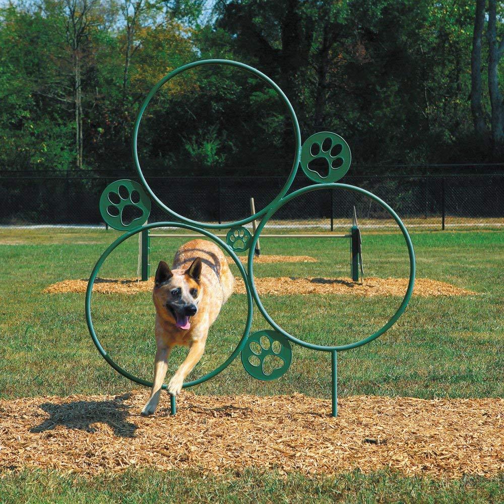 Bark Park Hoop Jump Dog Exercise Equipment