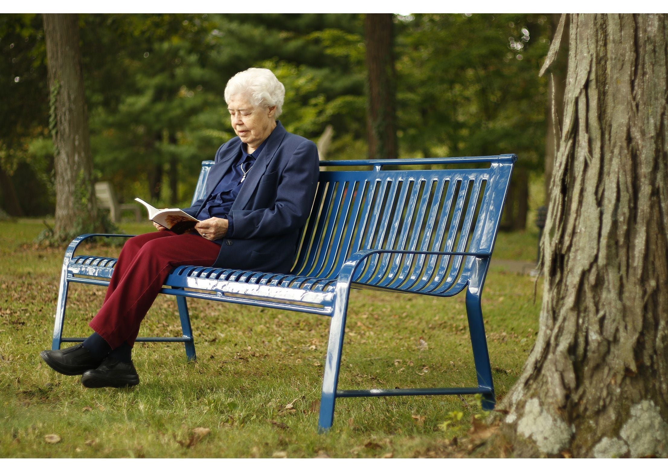 Oxford Bench with Back | WillyGoat Playground & Park Equipment