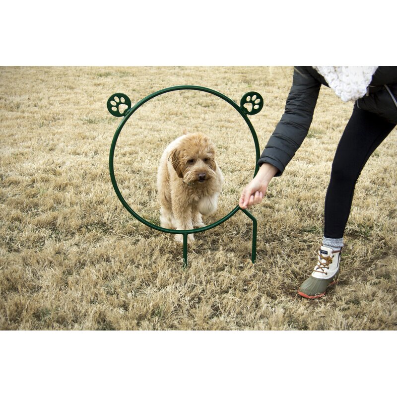 Bark Park Hoop Jump Dog Exercise Equipment