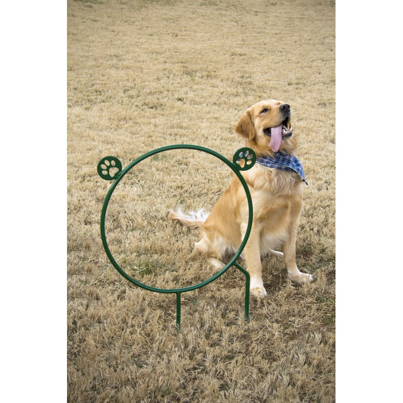 Bark Park Hoop Jump Dog Exercise Equipment