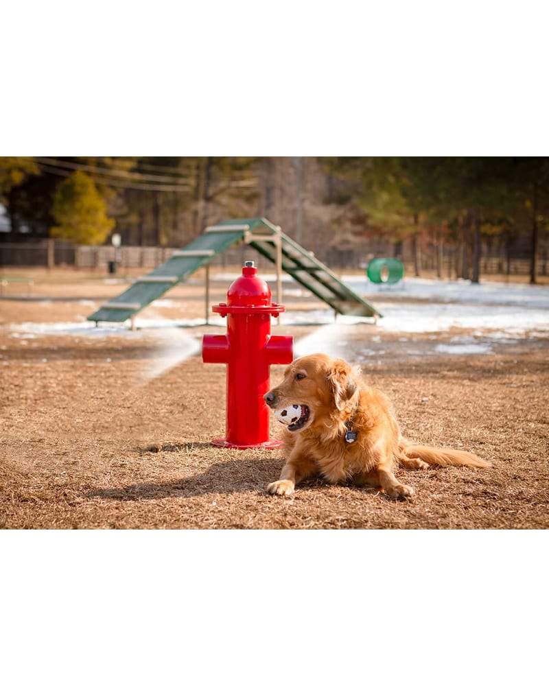 Bark Park Fire Hydrant Dog Exercise Equipment