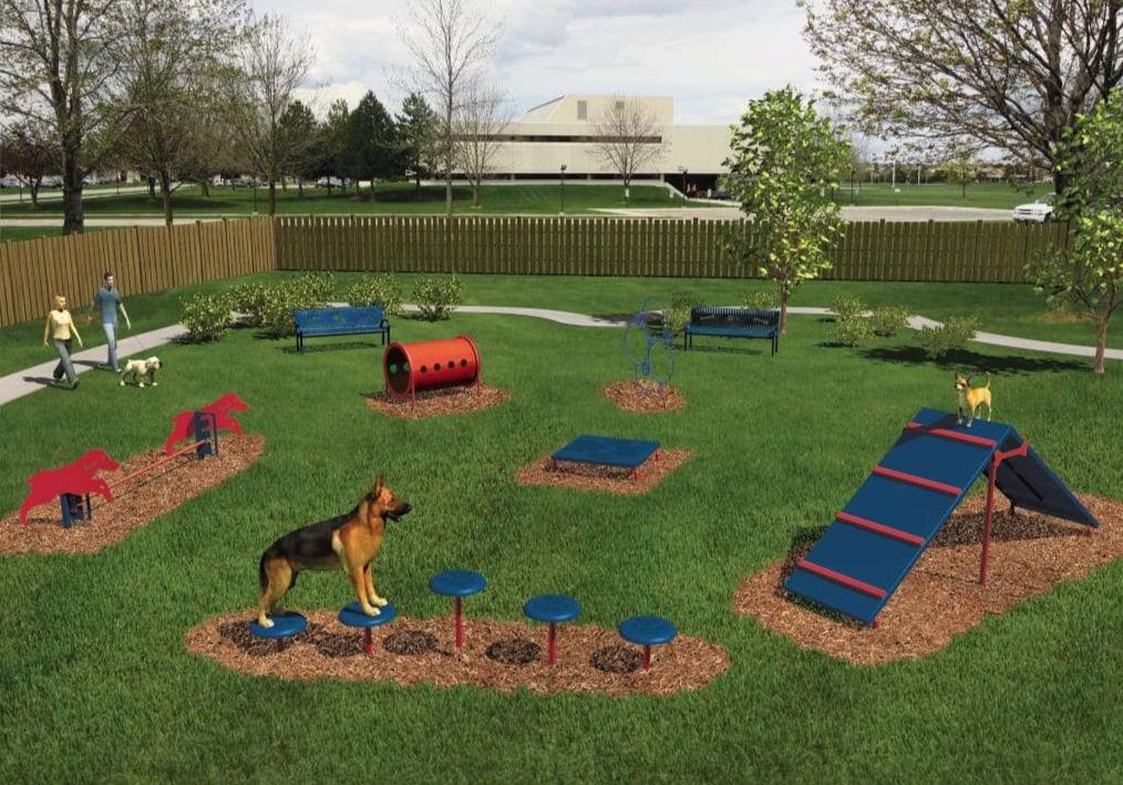 Bark Park Intermediate Dog Exercise Course - 6 Activities