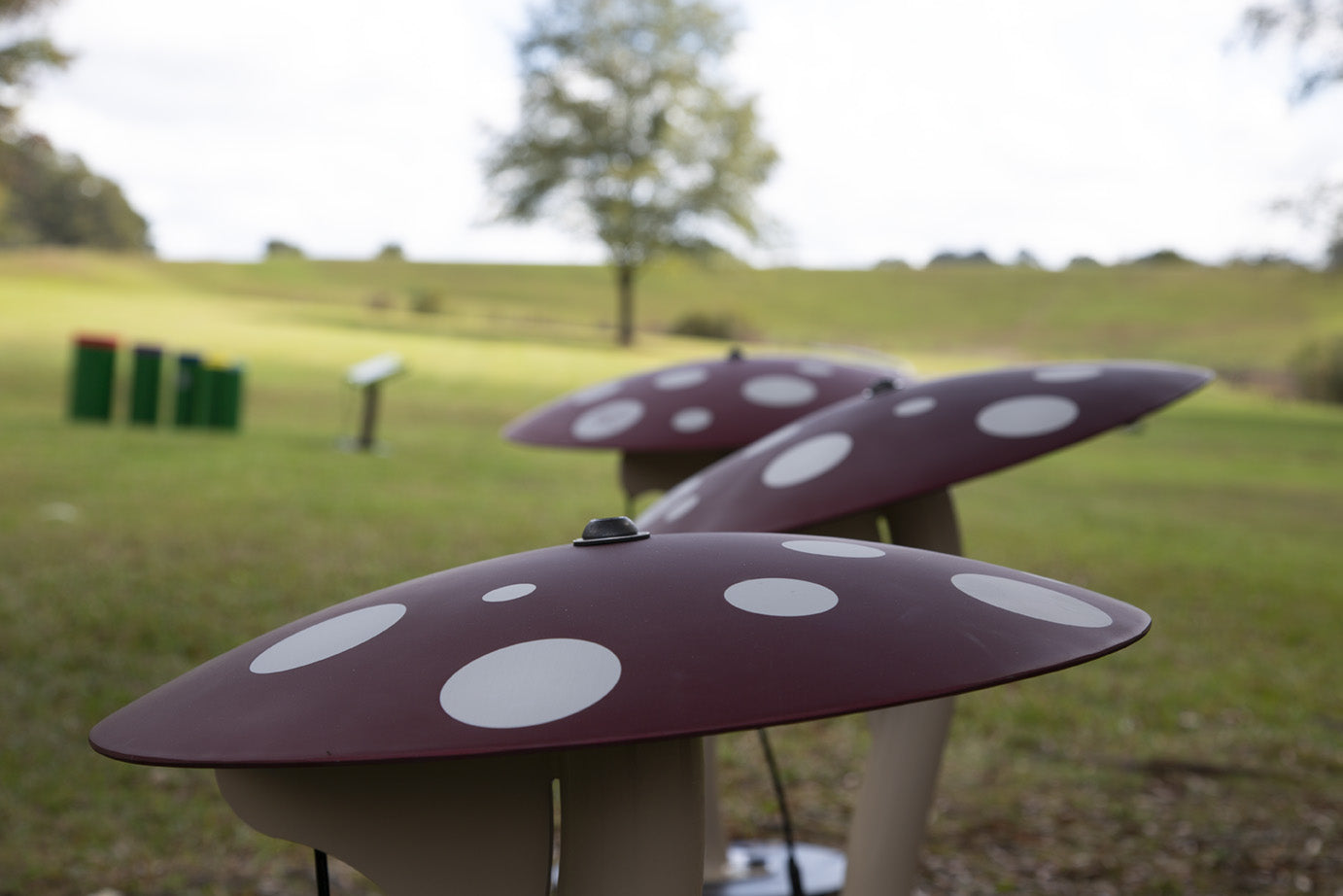 Mushrooms Ensemble Musical Park Instruments - Freenotes Harmony Park